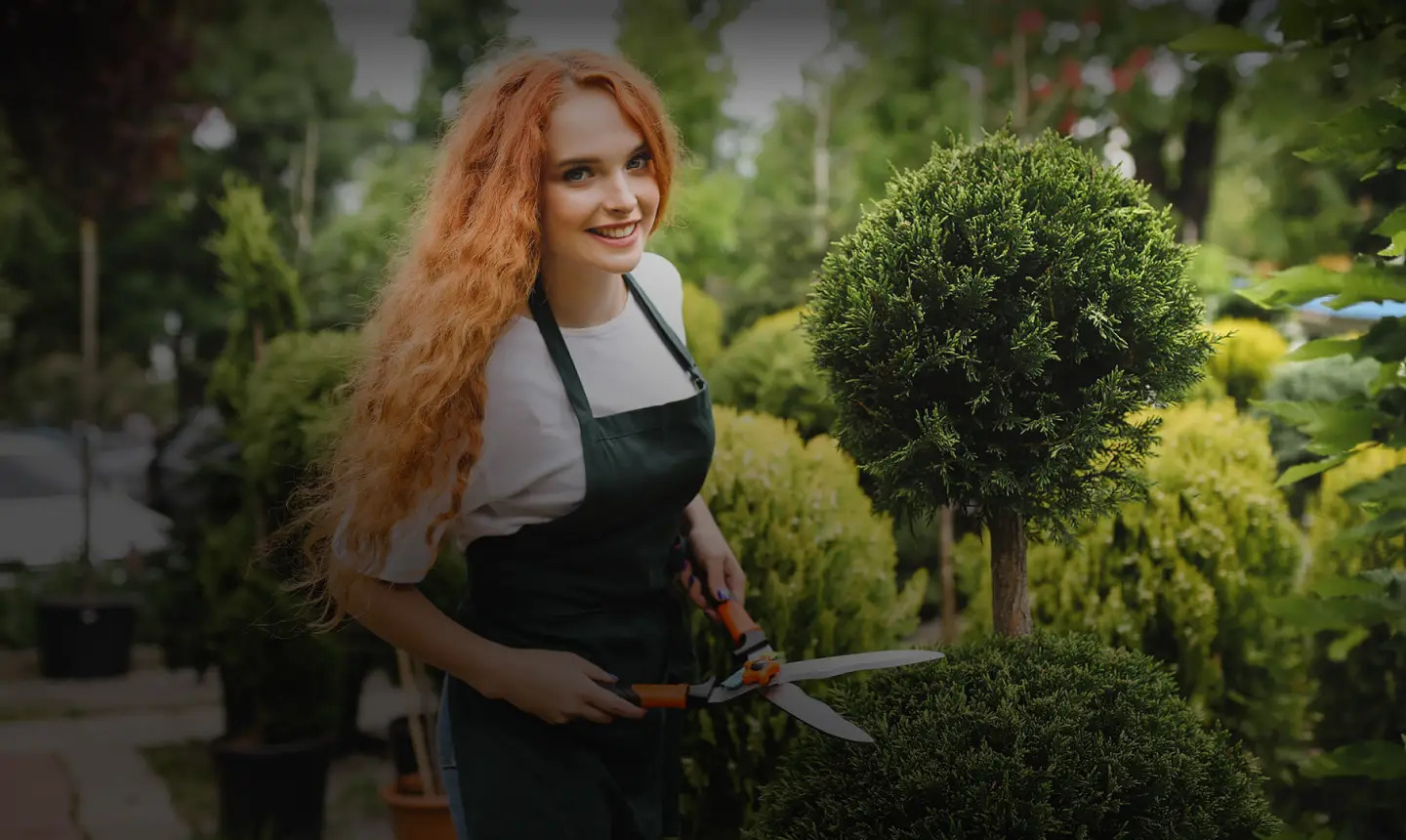 Top Hedge Trimming Tips and Services in Lee