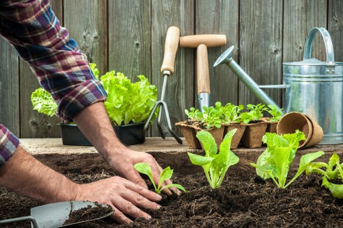 Gardener preparing to trim a suburban hedge in Lee
