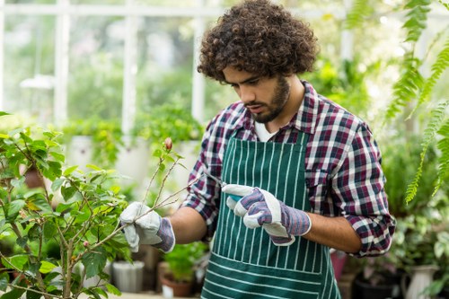 A young man with curly dark hair, dressed in a plaid shirt and green-striped apron, is working in a lush greenhouse garden. He is carefully examining a leafy plant using a small gardening tool, with a focused expression. Surrounding him are various green plants, including flowering shrubs and foliage, with sunlight filtering through the glass roof, illuminating the vibrant green hues. The greenhouse environment features well-maintained flower beds and potted plants arranged along the sides, with some soil beds visible in the background. The scene reflects professional gardening and plant care activities typical of outdoor and greenhouse maintenance services offered in Lee, Surrey, capturing the natural tones of the plants and the detailed textures of the leaves and garden surfaces. This setting highlights the expertise of Hedge Trimming Lee in garden boundary care and horticultural services aimed at promoting healthy, attractive outdoor spaces.
