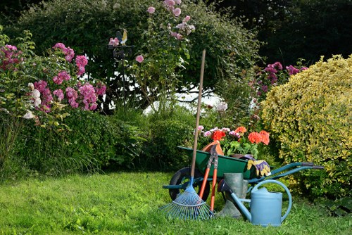 Team preparing to trim hedges in a Lee residential garden