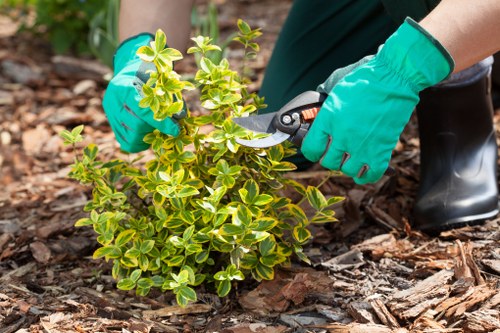 Insurance certificate and documentation for an insured gardening company on a clipboard