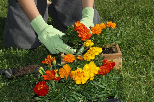 Variety of native plants ideal for landscape gardening in Lee
