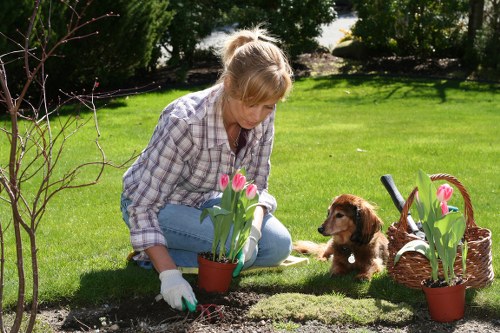 Workers wearing PPE during a hedge trimming operation demonstrating training and safety